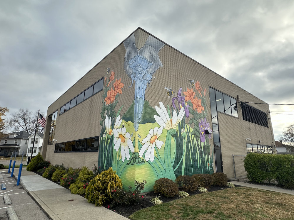 mural in Hamilton by artist unknown.