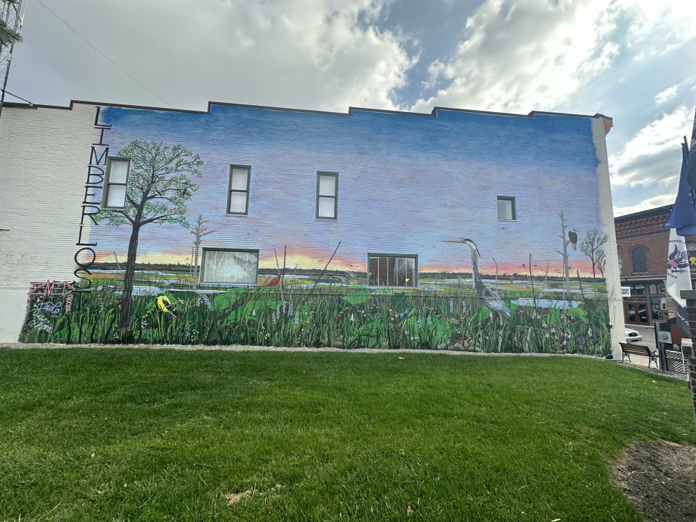 mural in Geneva by artist unknown.