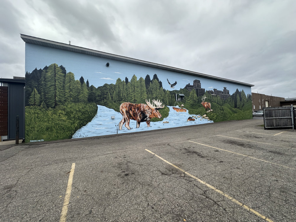 mural in Kalamazoo by artist unknown.