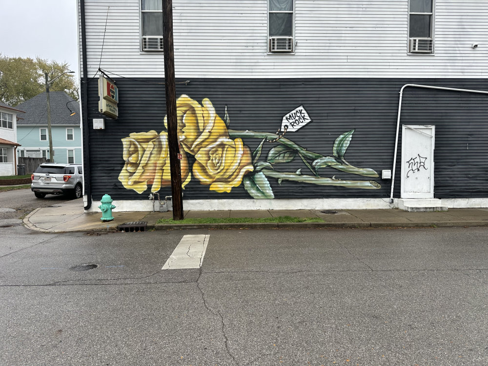 mural in Indianapolis by artist unknown.