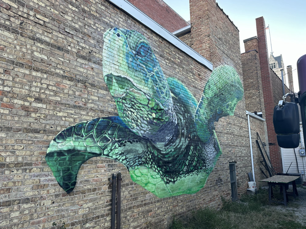 mural in Rensselaer by artist Camer1.