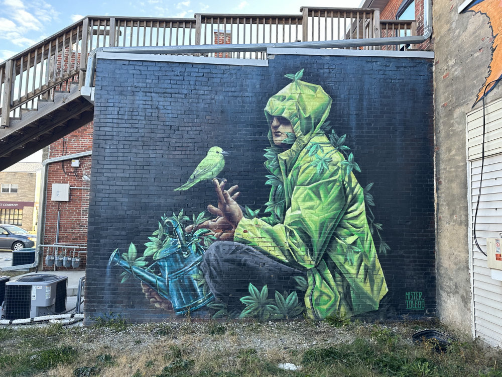 mural in Rensselaer by artist Mister Toledo.