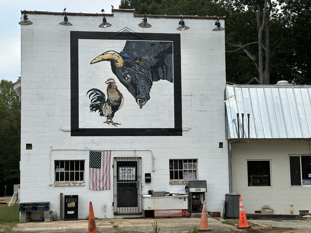 mural in Hillsborough by artist unknown.