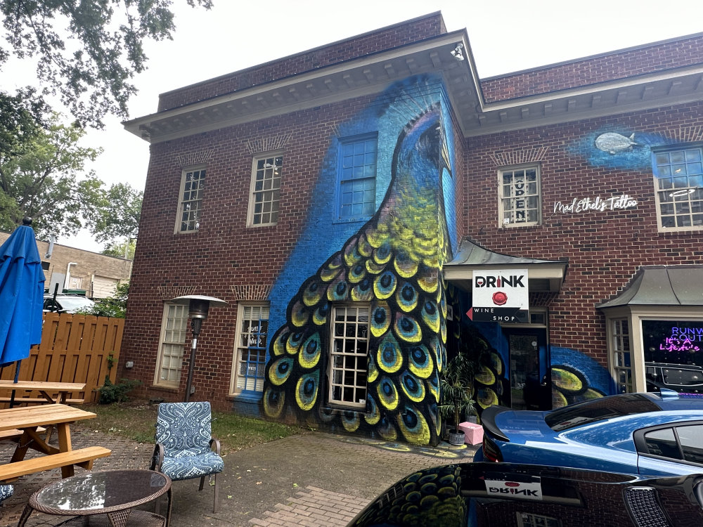 mural in Raleigh by artist unknown.