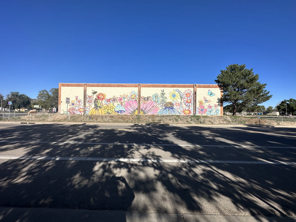 mural in Fort Collins by artist unknown.