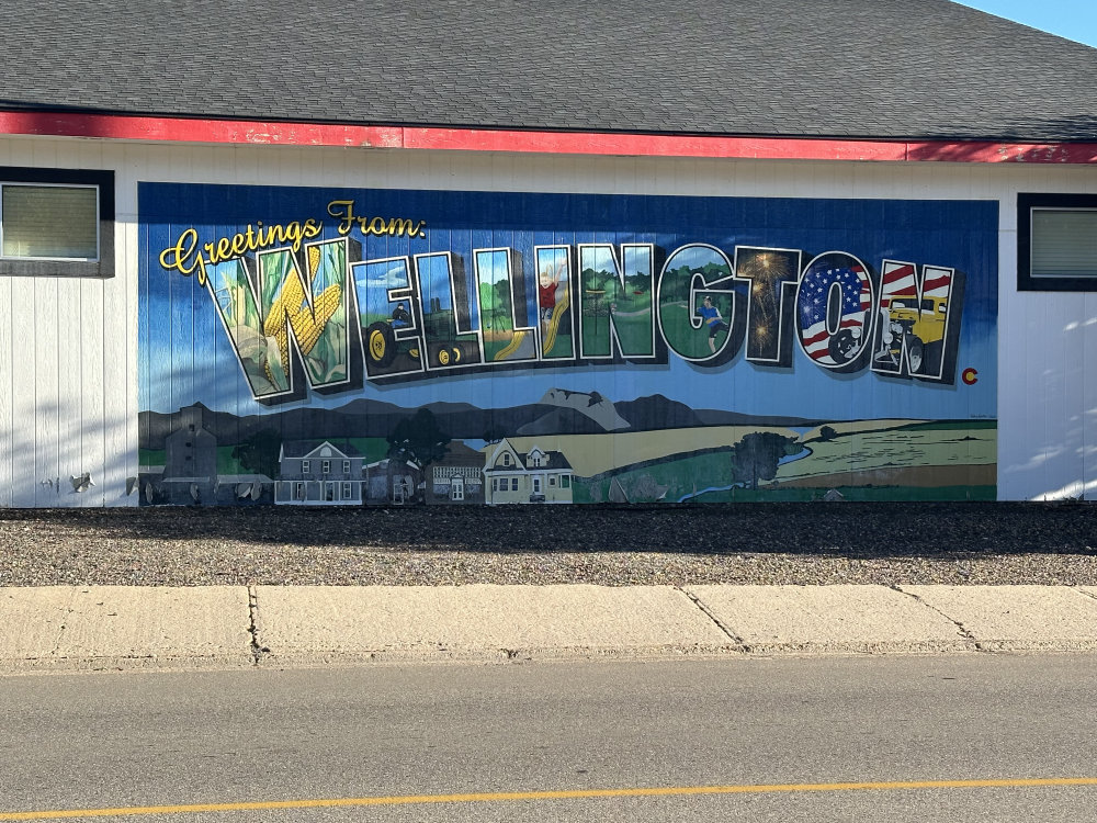 mural in Wellington by artist unknown.