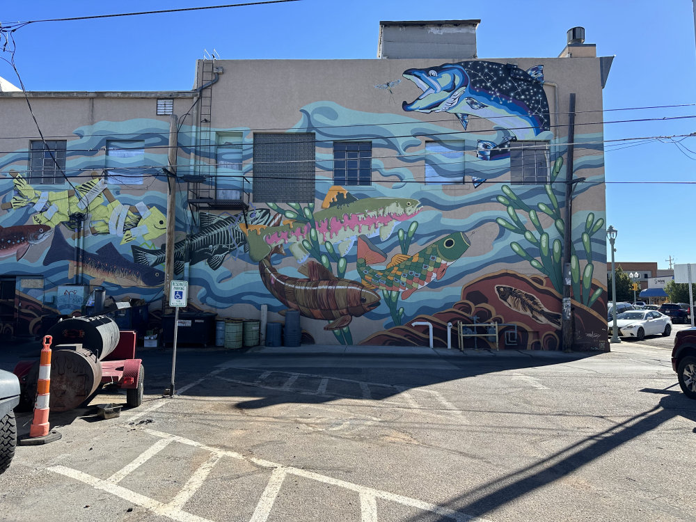 mural in Laramie by artist unknown.