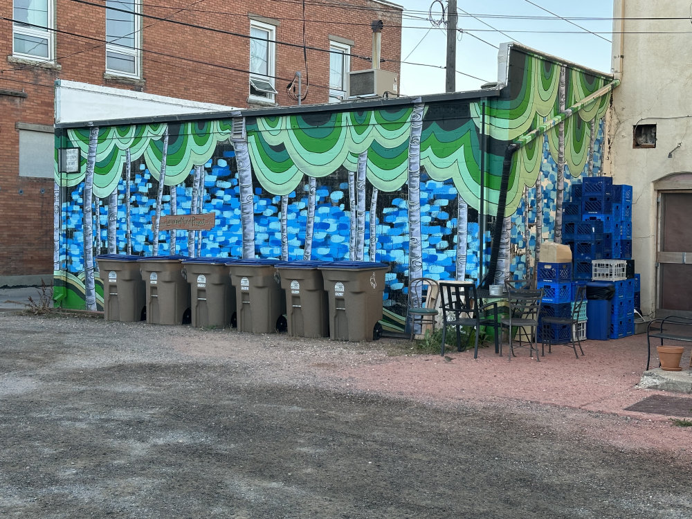 mural in Laramie by artist unknown.