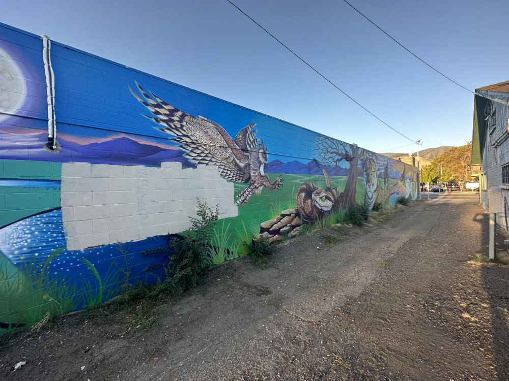 mural in Carson City by artist unknown.