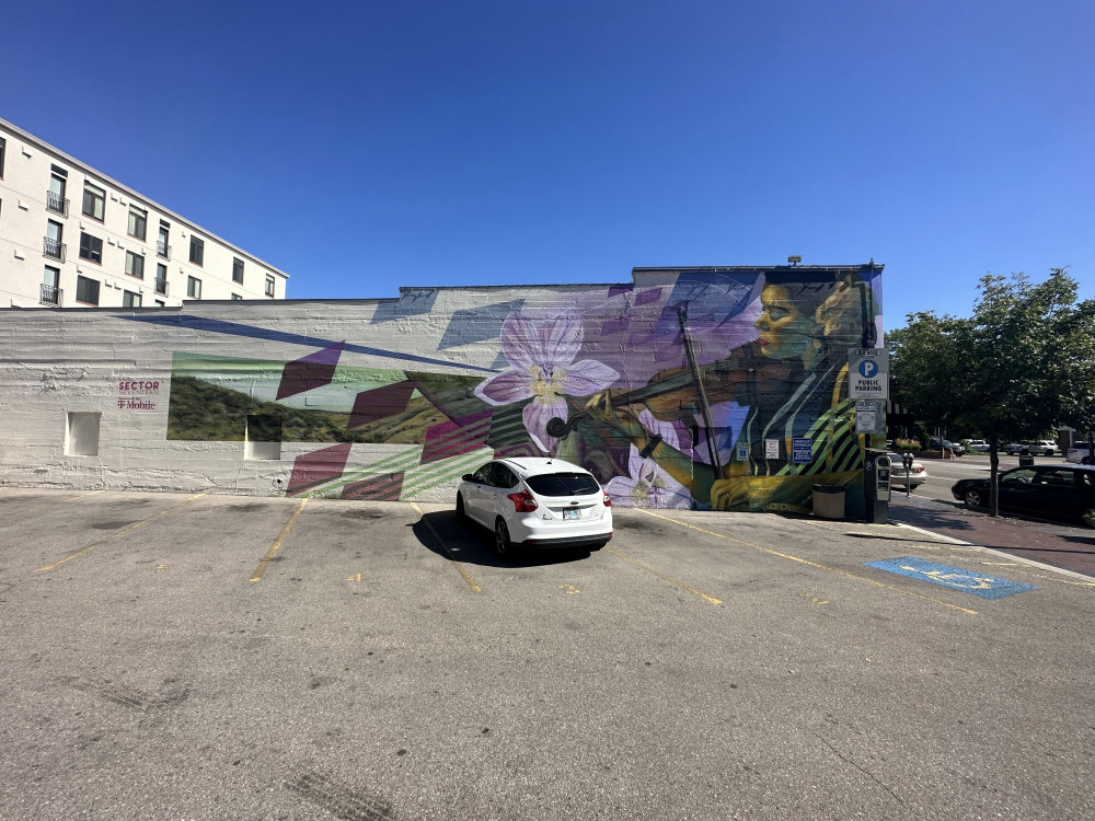 mural in Boise by artist unknown.