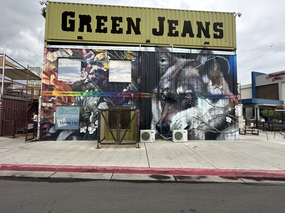 mural in Albuquerque by artist unknown.