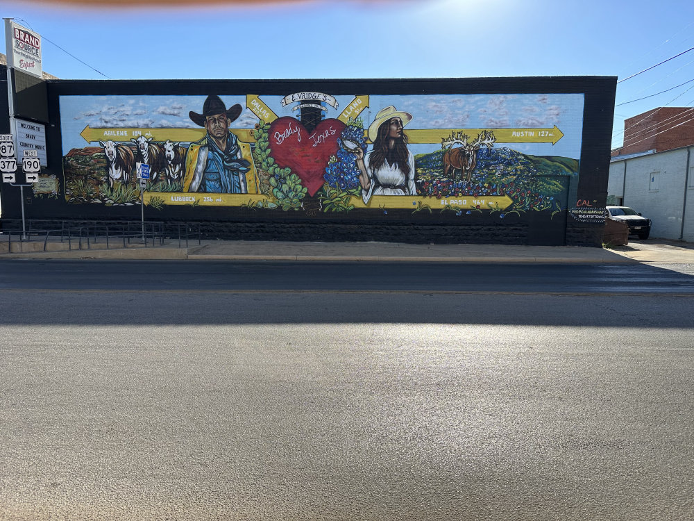 mural in Brady by artist unknown.