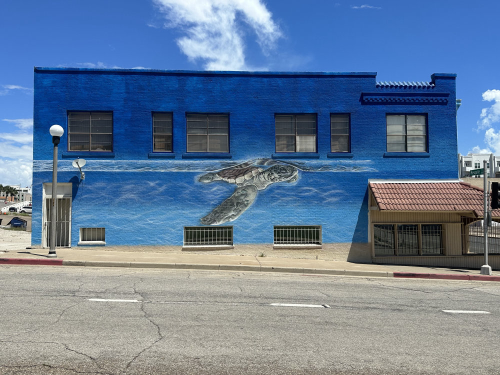 mural in Corpus Christi by artist unknown.