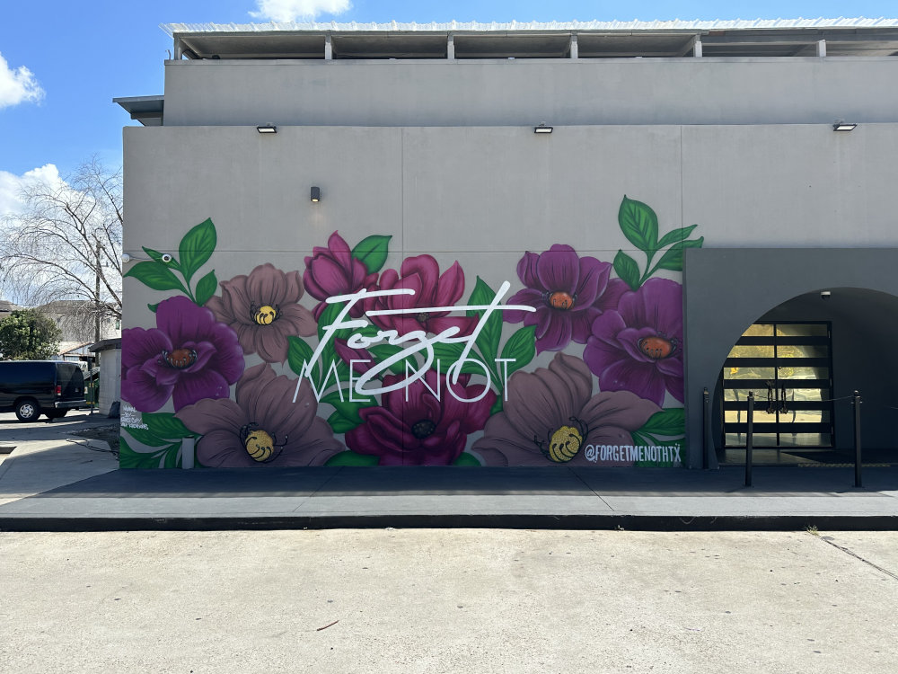 mural in Houston by artist unknown.