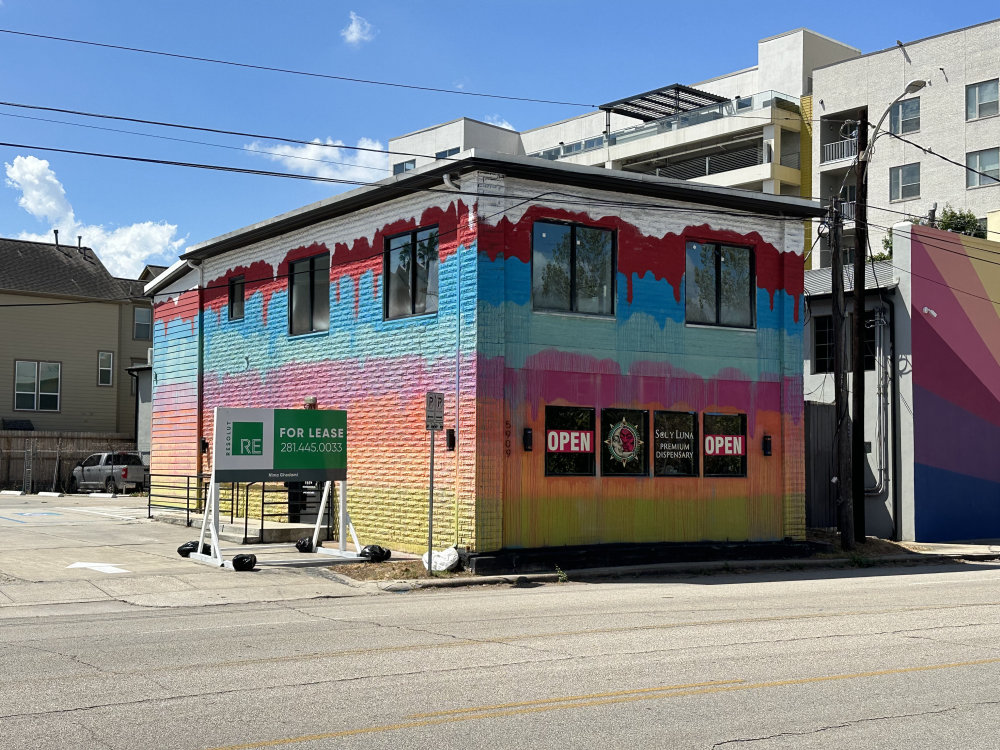 mural in Houston by artist unknown.