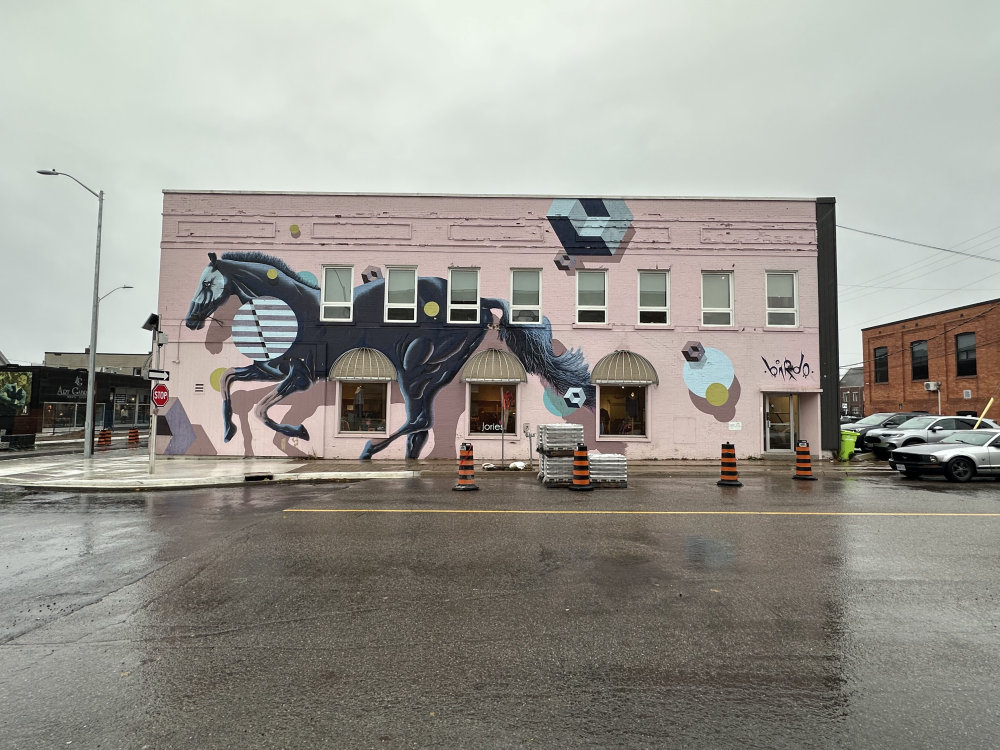 mural in Sault Ste. Marie by artist birdO.