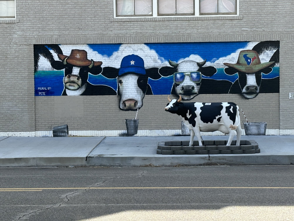 mural in Galveston by artist unknown.