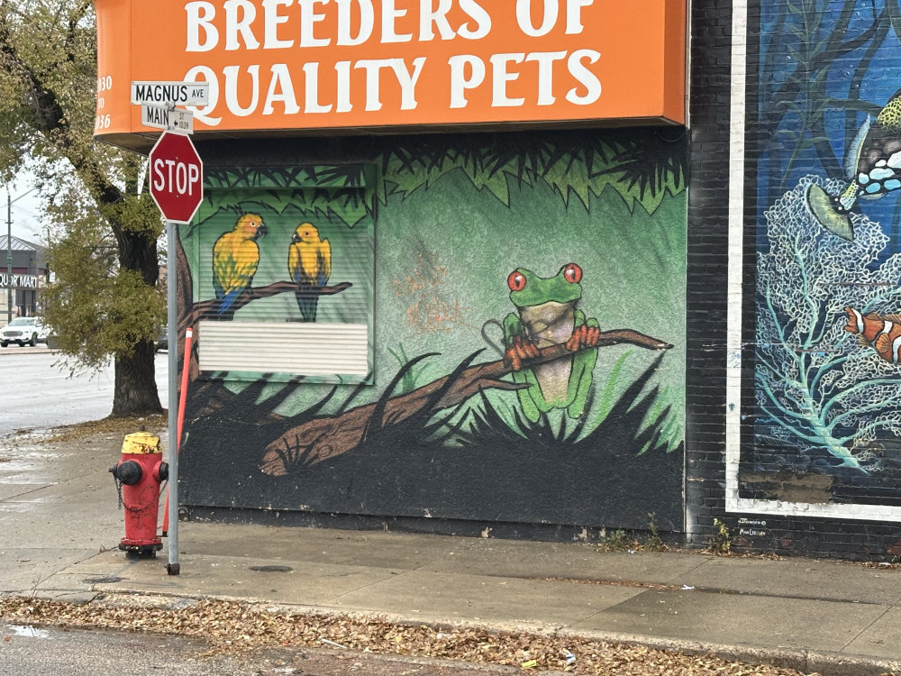 mural in Winnipeg by artist unknown.