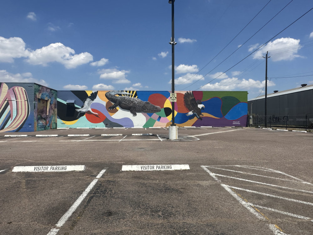 mural in Houston by artist unknown.