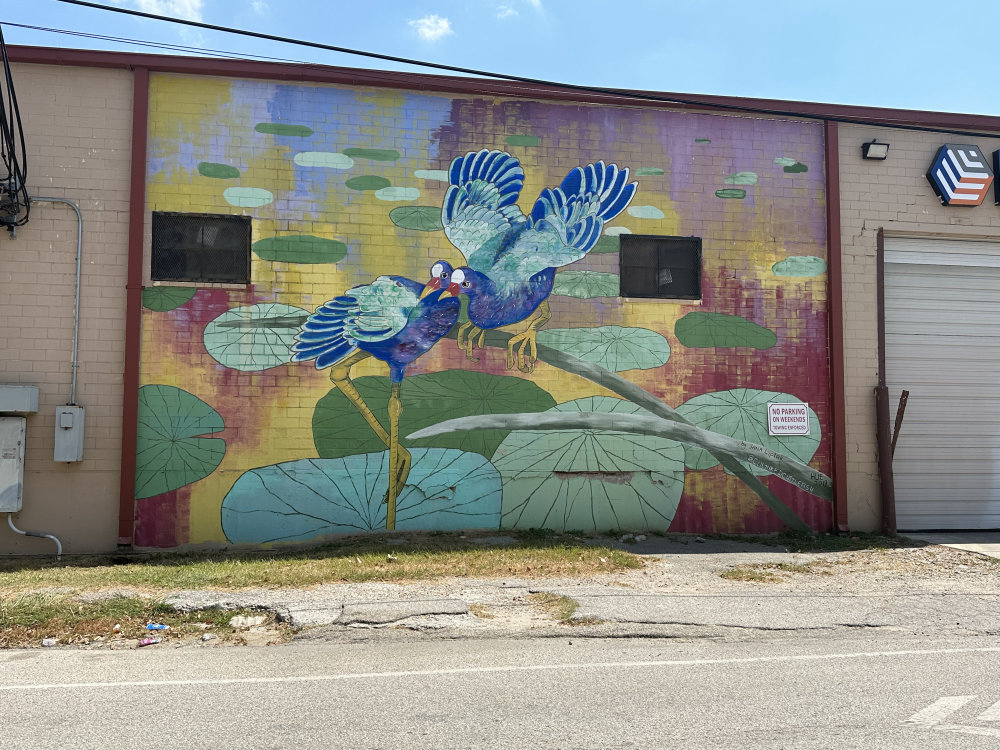 mural in Houston by artist unknown.