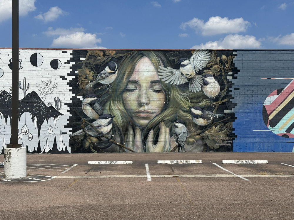 mural in Houston by artist unknown.