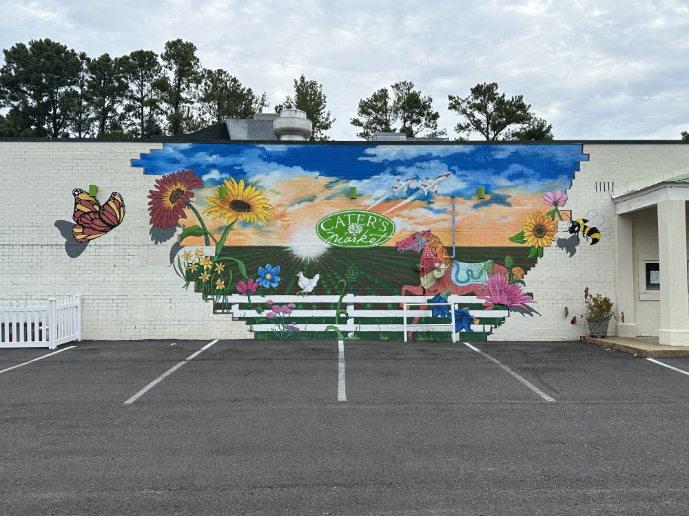 mural in Meridian by artist unknown.