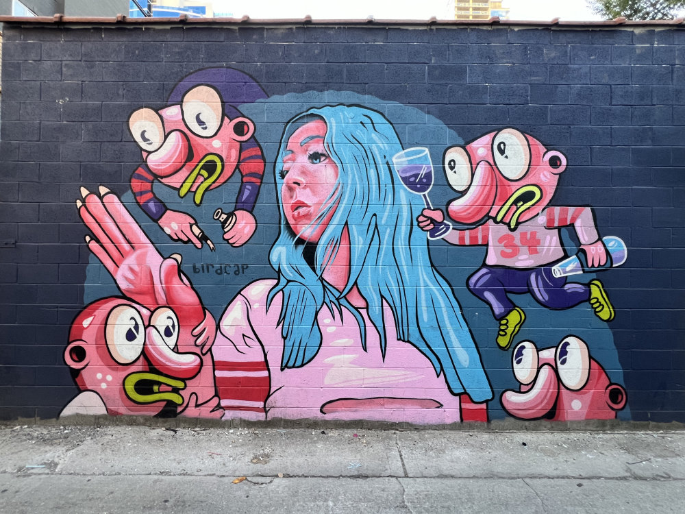 mural in Chicago by artist Birdcap.