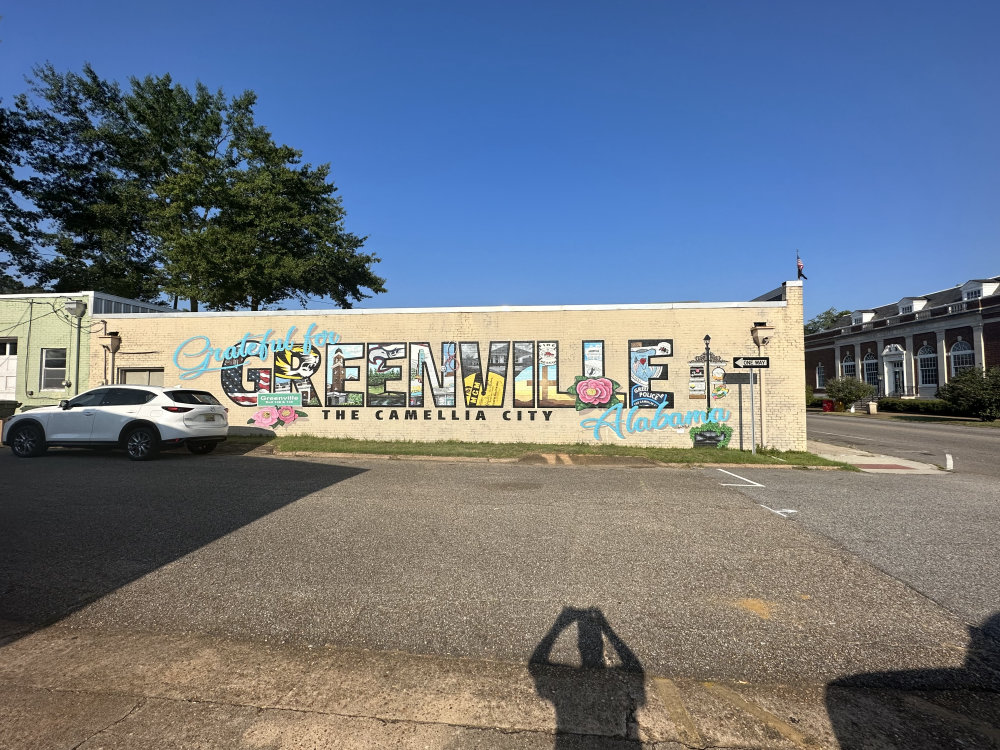 mural in Greenville by artist unknown.