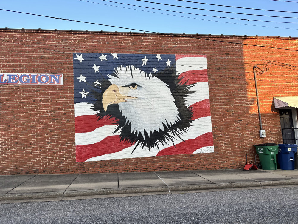 mural in Troy by artist unknown.