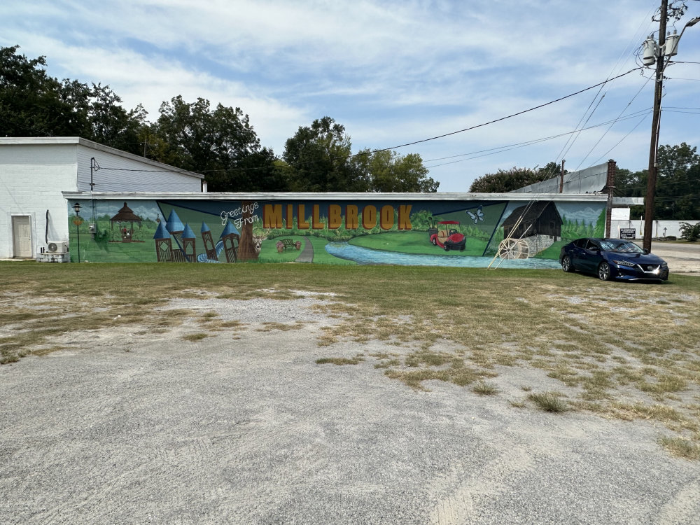 mural in Millbrook by artist unknown.