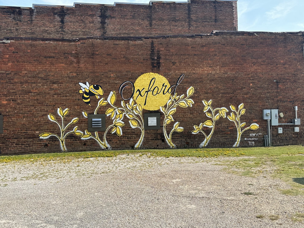 mural in Oxford by artist unknown.