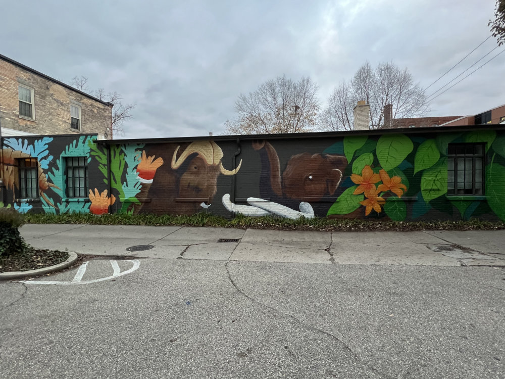 mural in Grand Rapids by artist unknown.