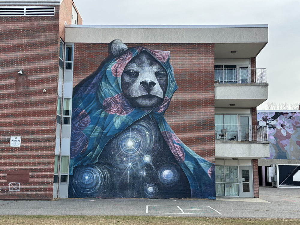 mural in Worcester by artist unknown.