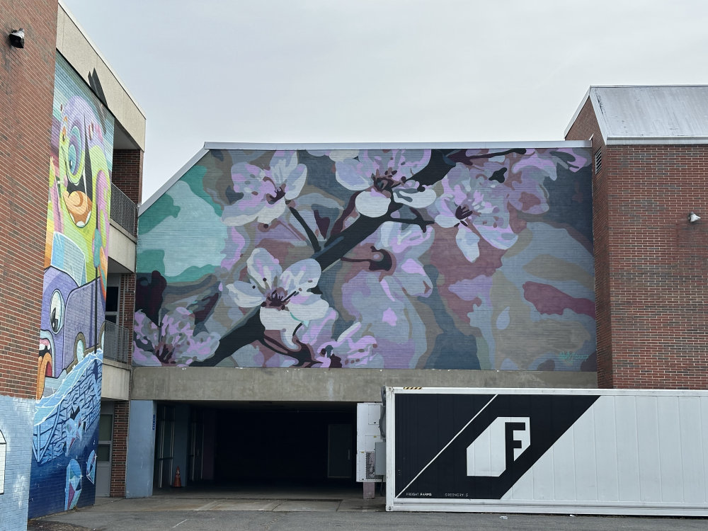 mural in Worcester by artist unknown.