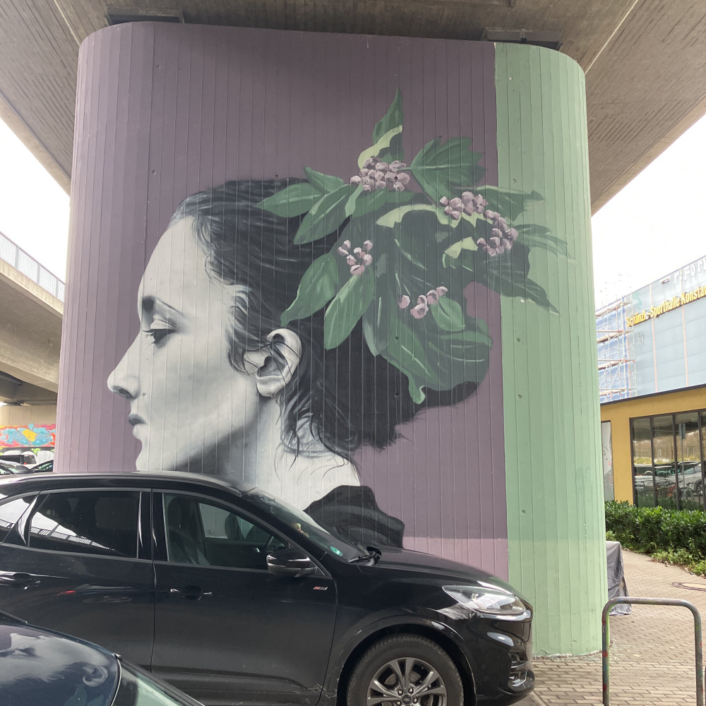 mural in Konstanz by artist unknown.