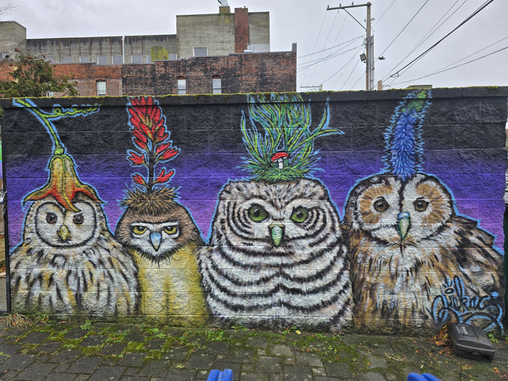 mural in Bellingham by artist Ruckas.