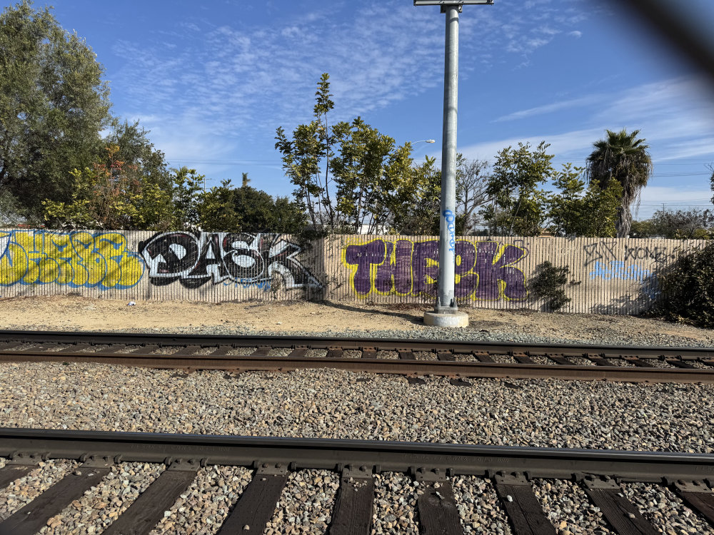 mural in San Diego by artist unknown.