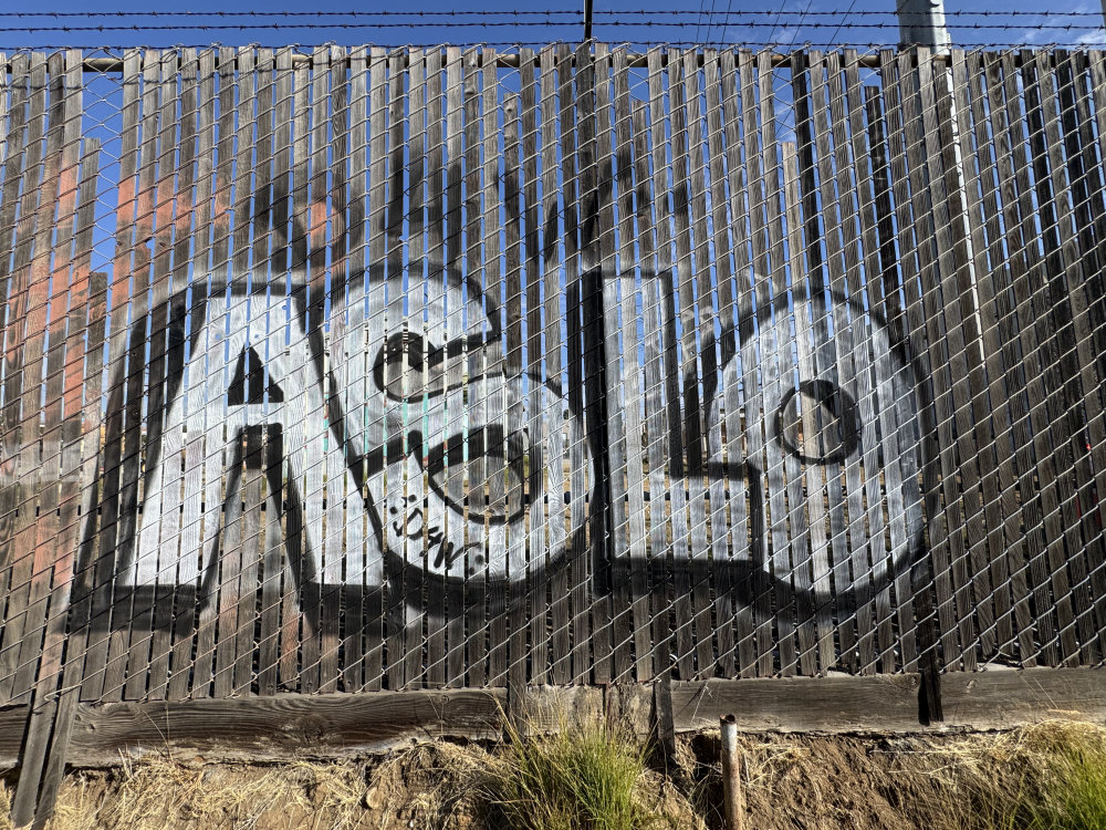 mural in San Diego by artist unknown.