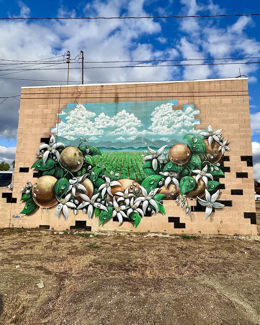 mural in Redlands by artist Whin 3.