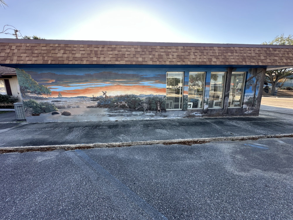 mural in Lake Placid by artist unknown.
