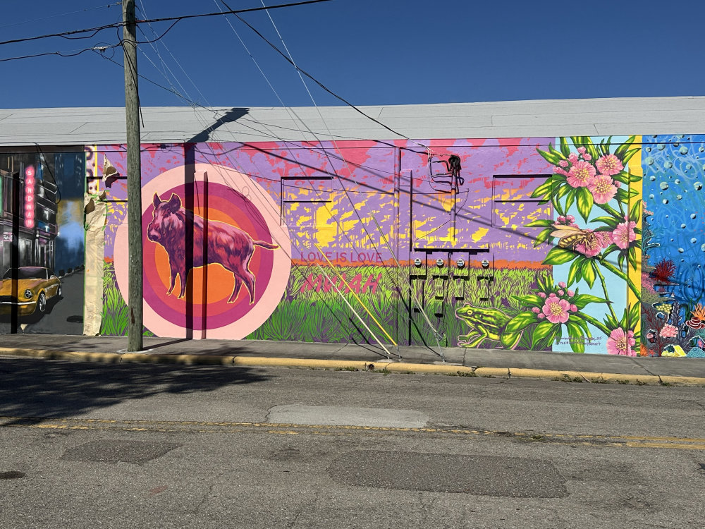 mural in Fort Myers by artist unknown.