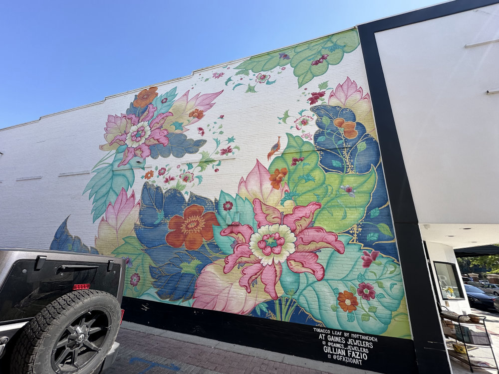 mural in Lakeland by artist Gillian Fazio.
