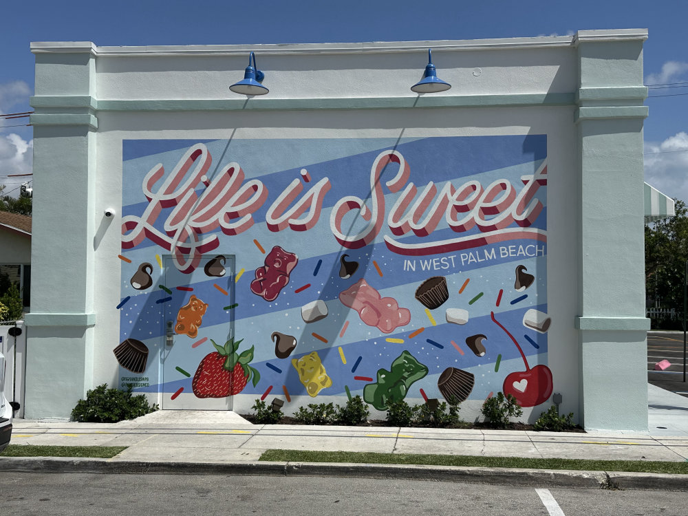 mural in West Palm Beach by artist Pandr Design Co.