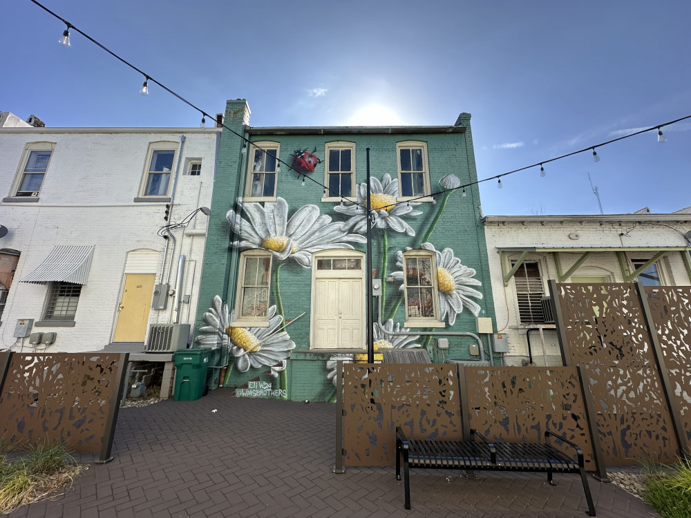 mural in Albemarle by artist Jack and Eli Williams.