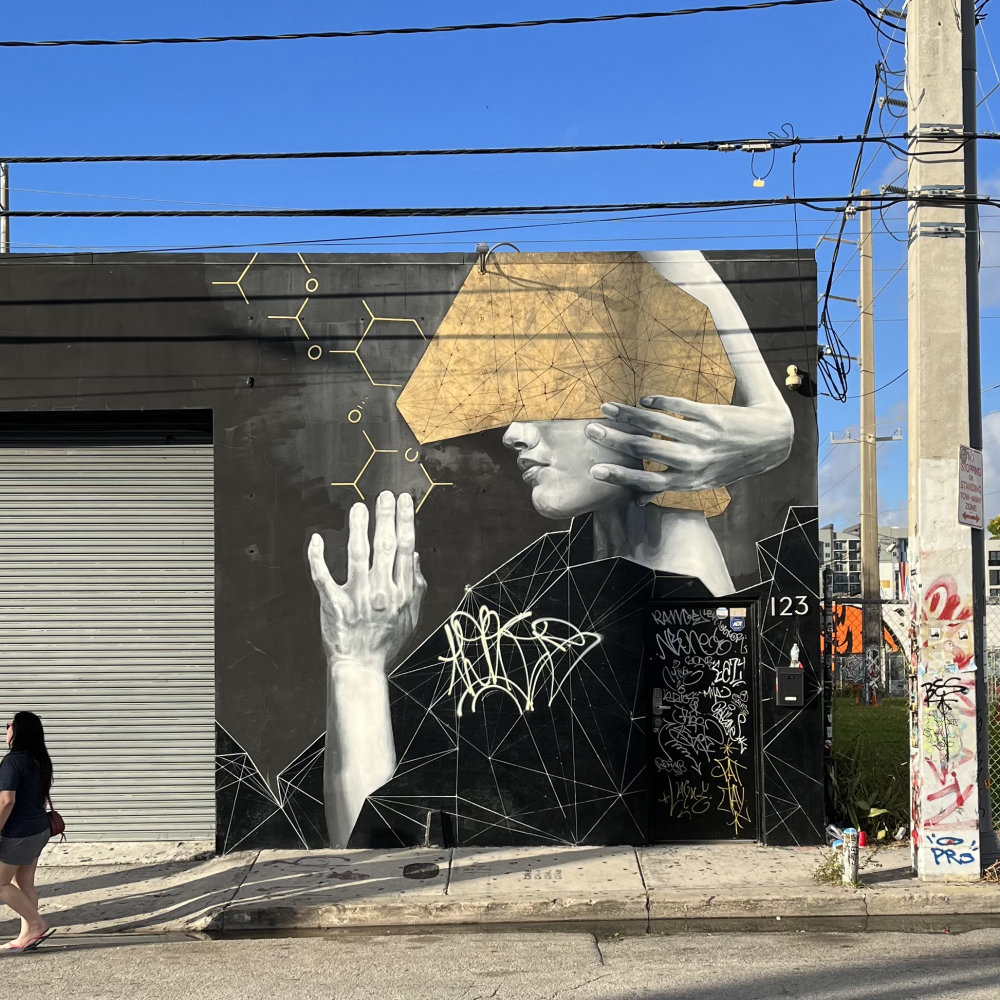 mural in Miami by artist Adrian Avila.
