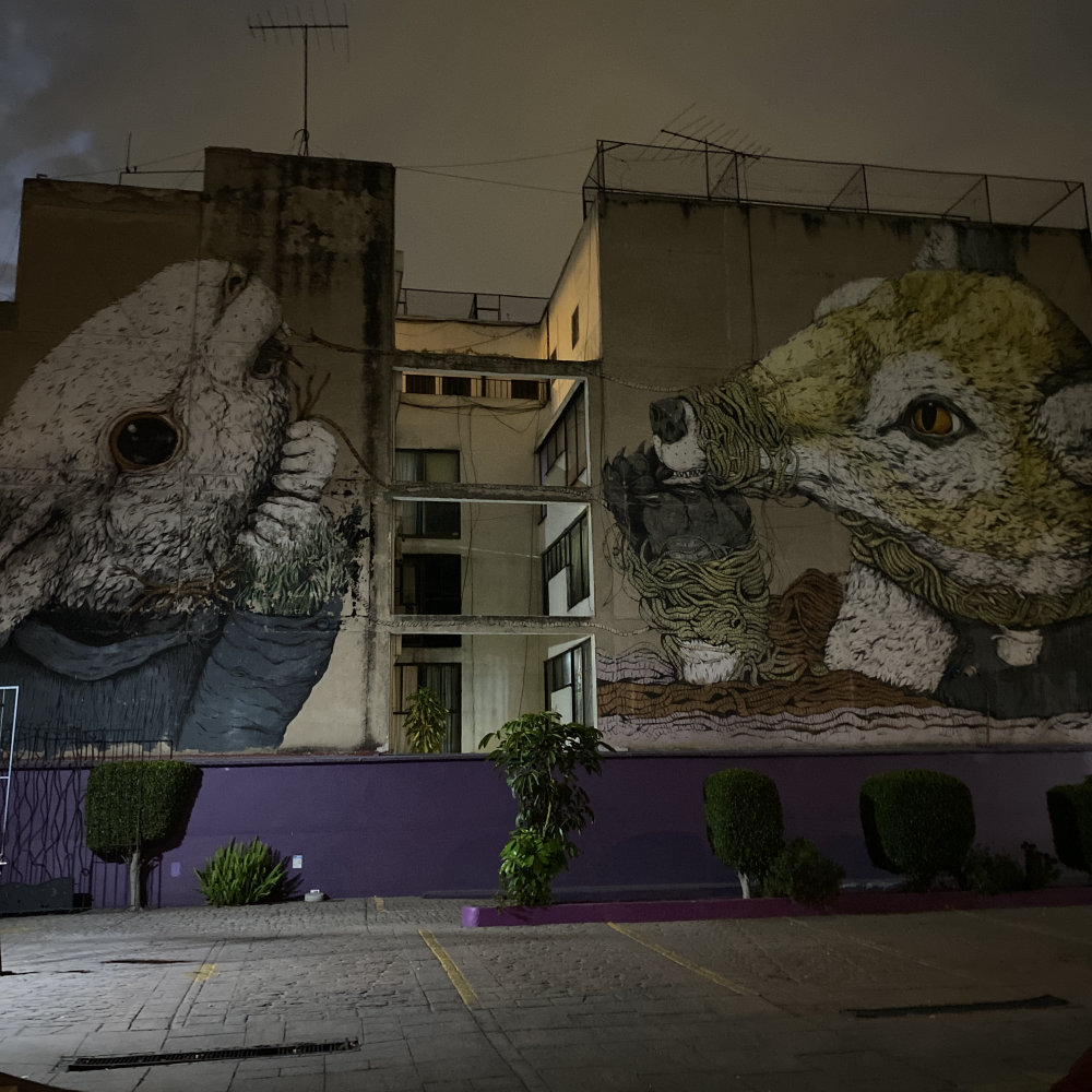 mural in Ciudad de México by artist unknown.