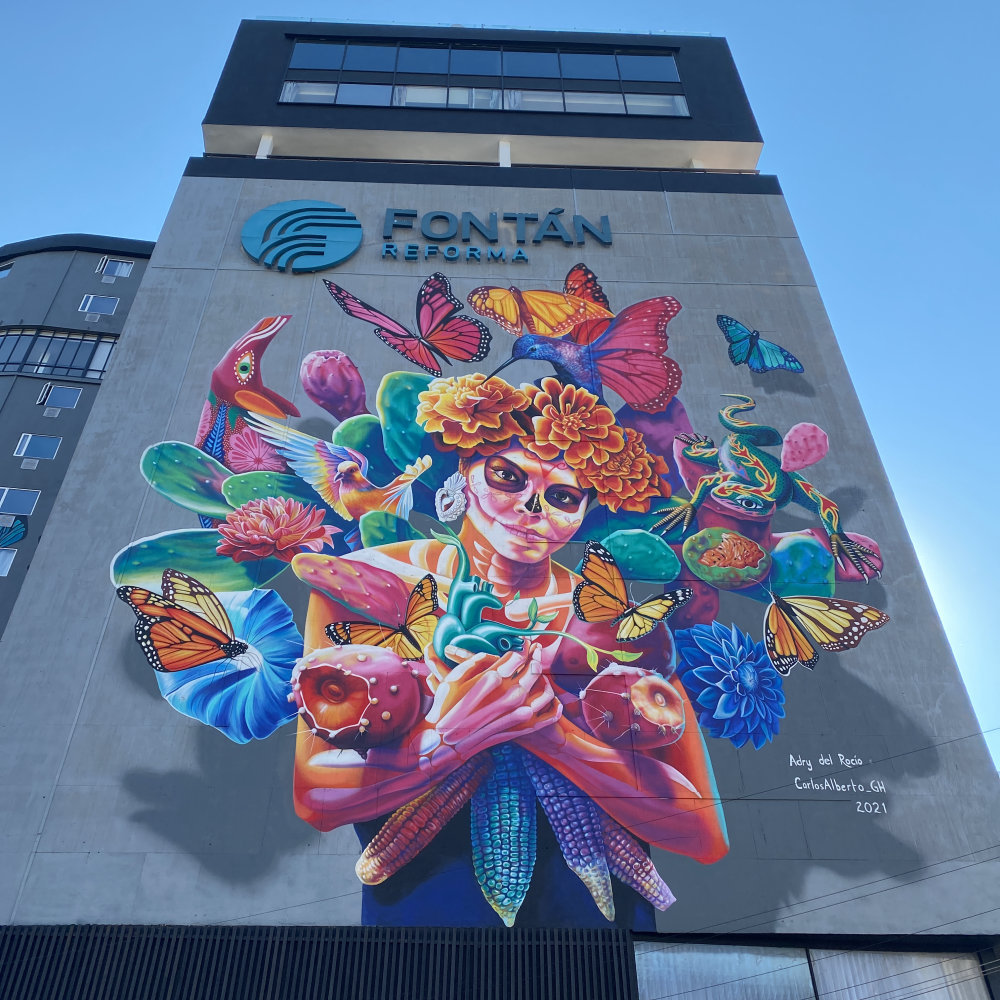 mural in Ciudad de México by artist unknown.