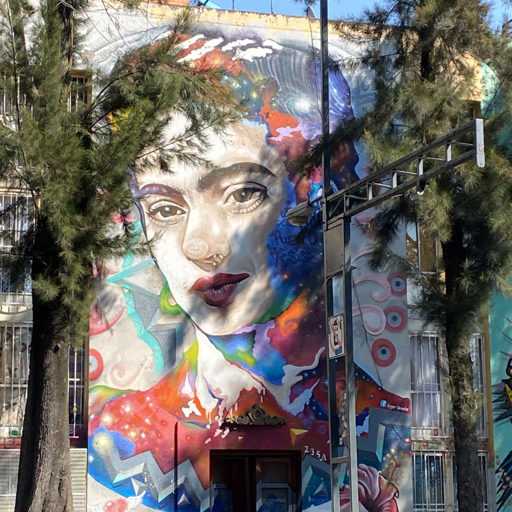 mural in Ciudad de México by artist unknown.