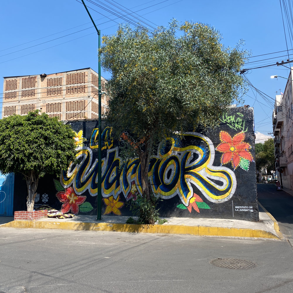 mural in Ciudad de México by artist unknown.