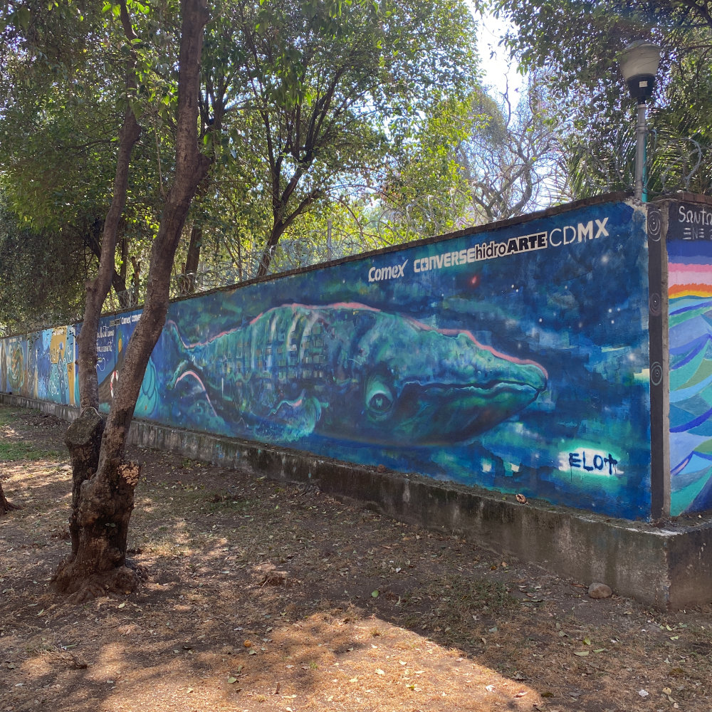 mural in Ciudad de México by artist unknown.